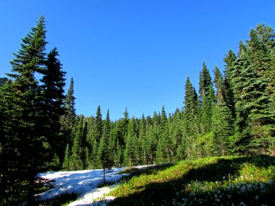 Mt. Rainier NP in WA