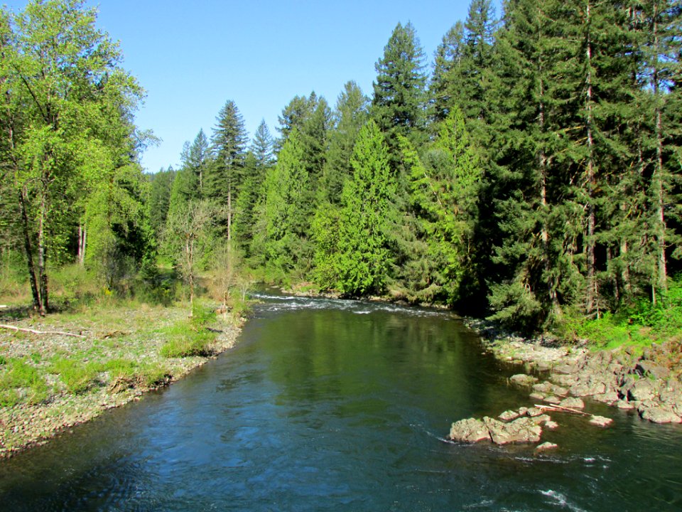 Lucia Falls Park at Lewis River in WA