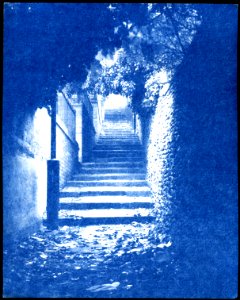 Cyanotype. Lowestoft Score.