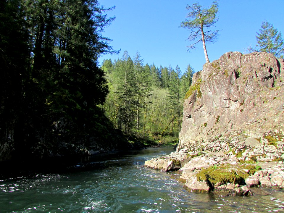 Lucia Falls Park at Lewis River in WA