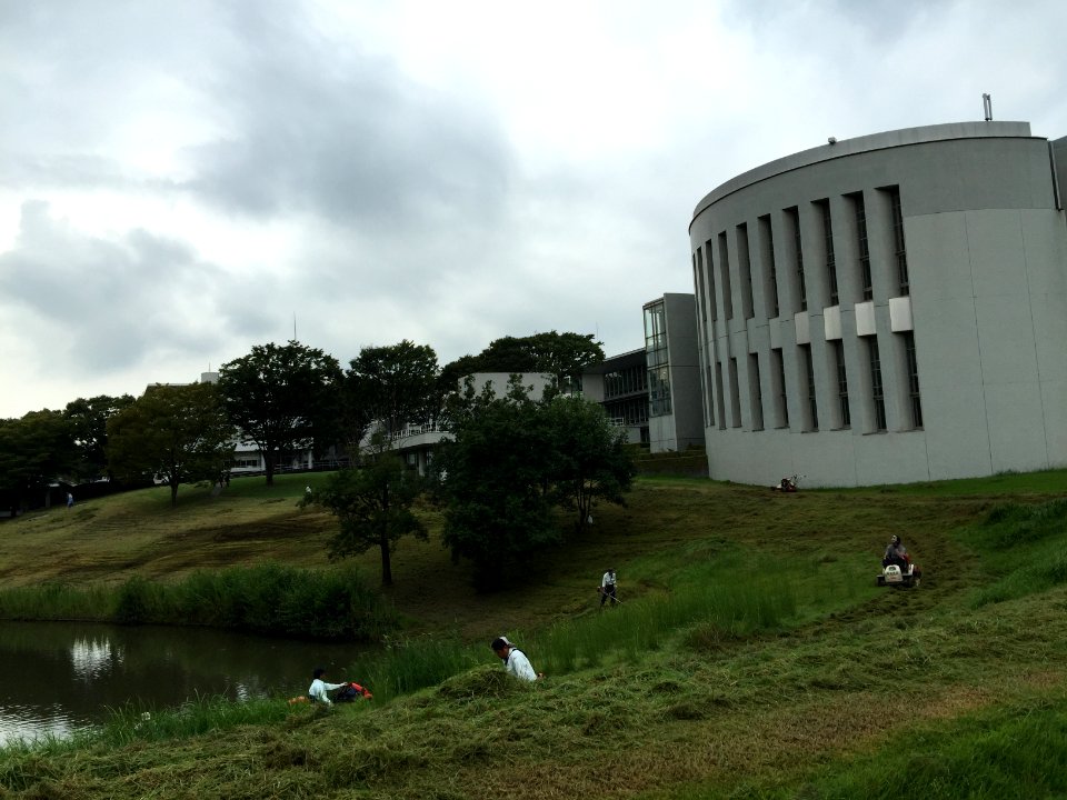 IMG 7304