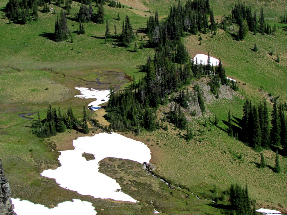 Mt. Rainier NP in WA