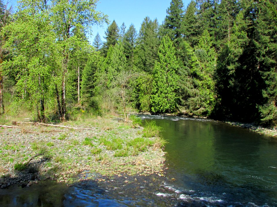 Lucia Falls Park at Lewis River in WA