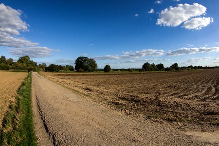 Lane field farm photo