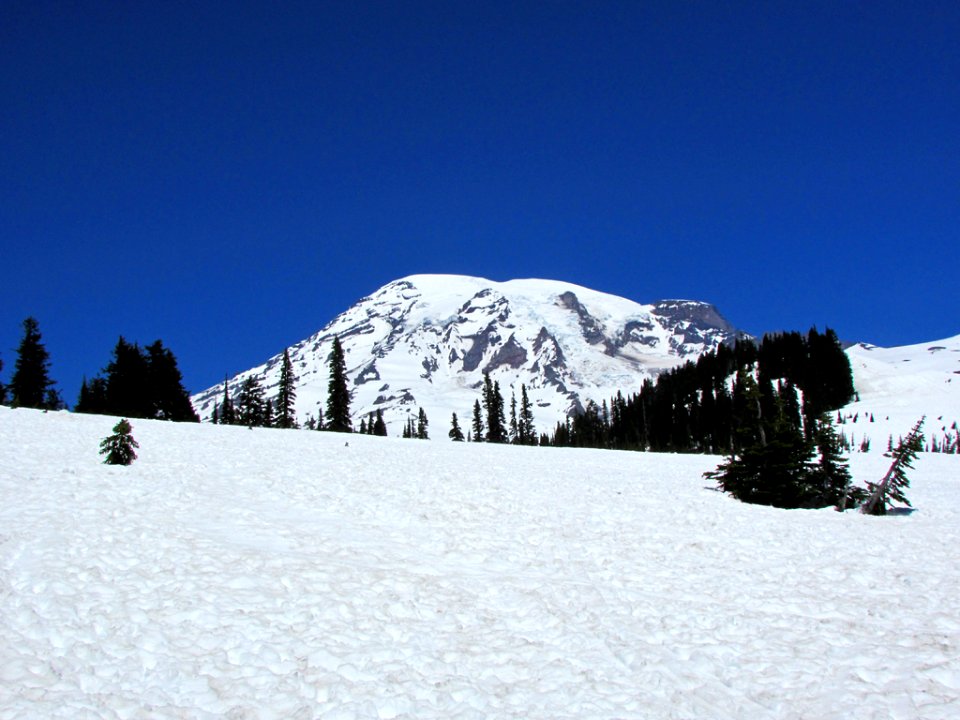 Mt. Rainier NP in WA