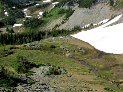Mt. Rainier NP in WA