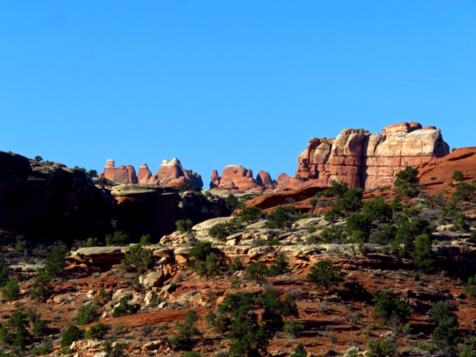 Needles District at Canyonlands NP in Utah