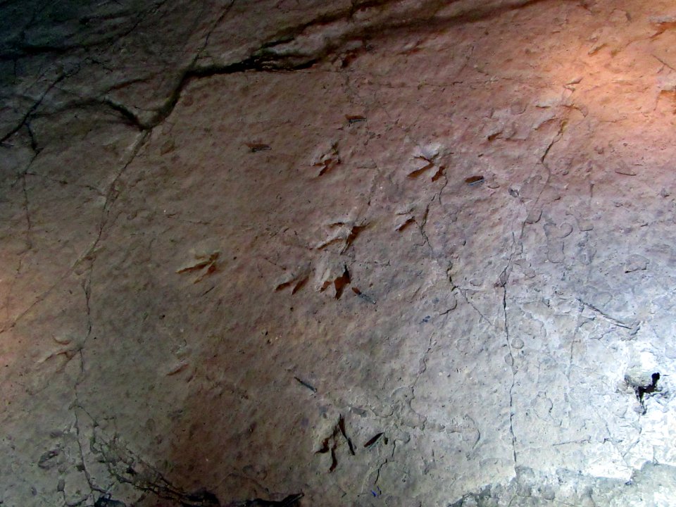 Rapture footprints Sataplia Nature Reserve Georgia