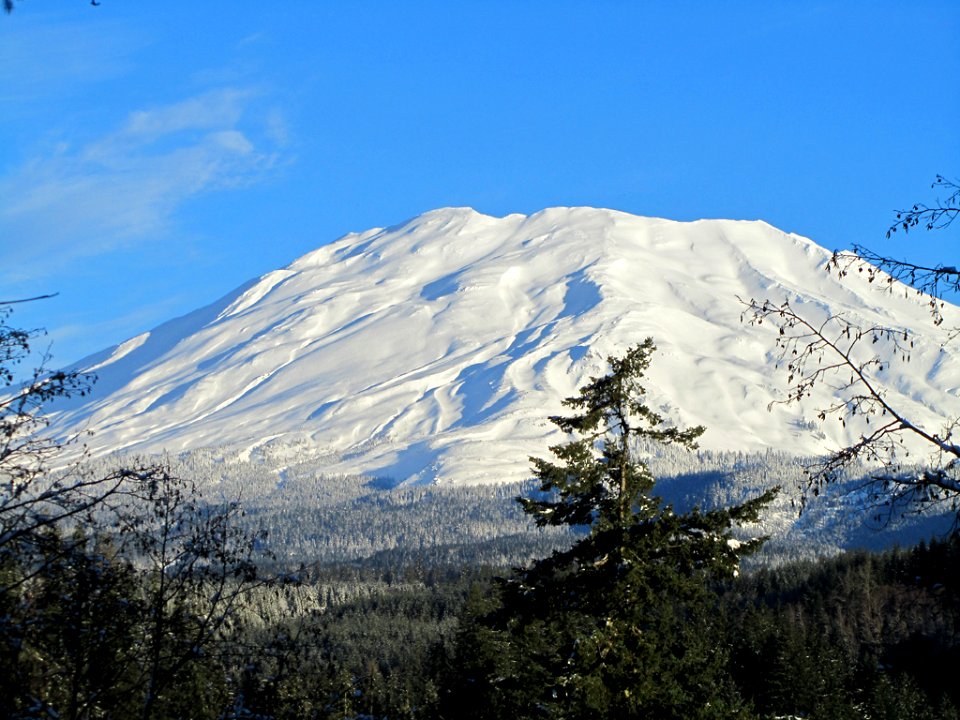 Mt. St. Helens NM in WA