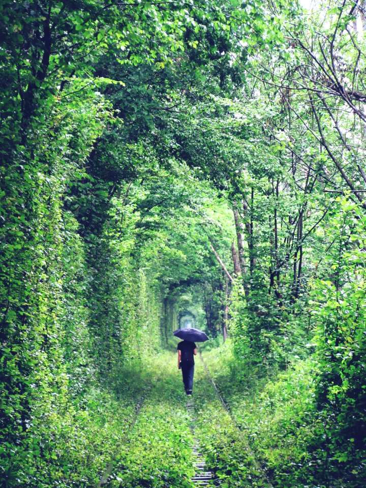 Tourist with Umbrella Tunnel of Love Klevan Ukraine