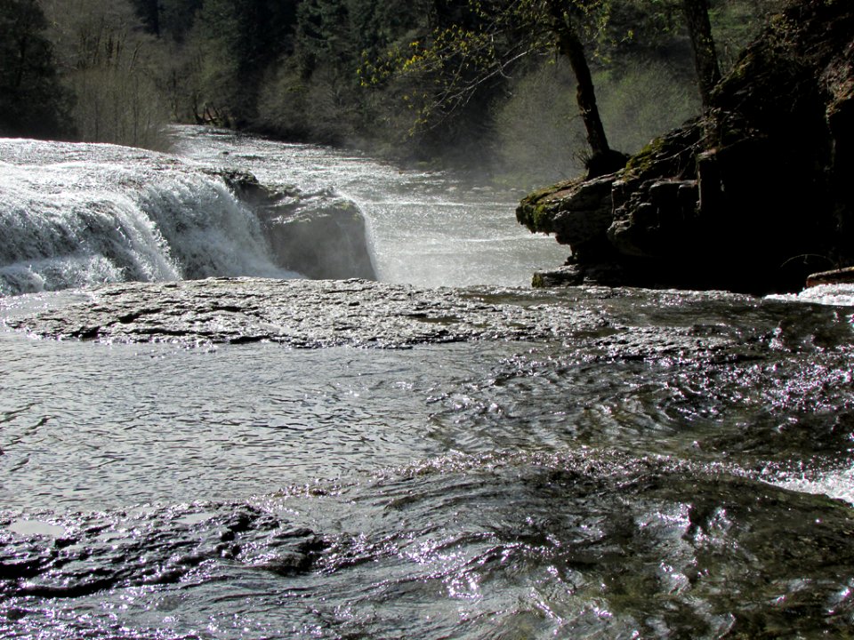 Lower Lewis River Falls in WA