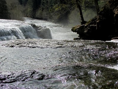 Lower Lewis River Falls in WA