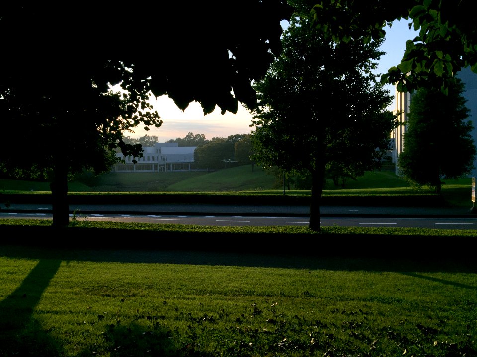 IMG 7597