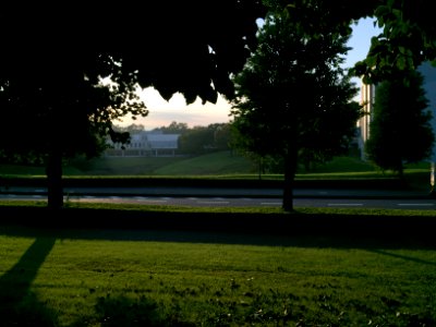 IMG 7597