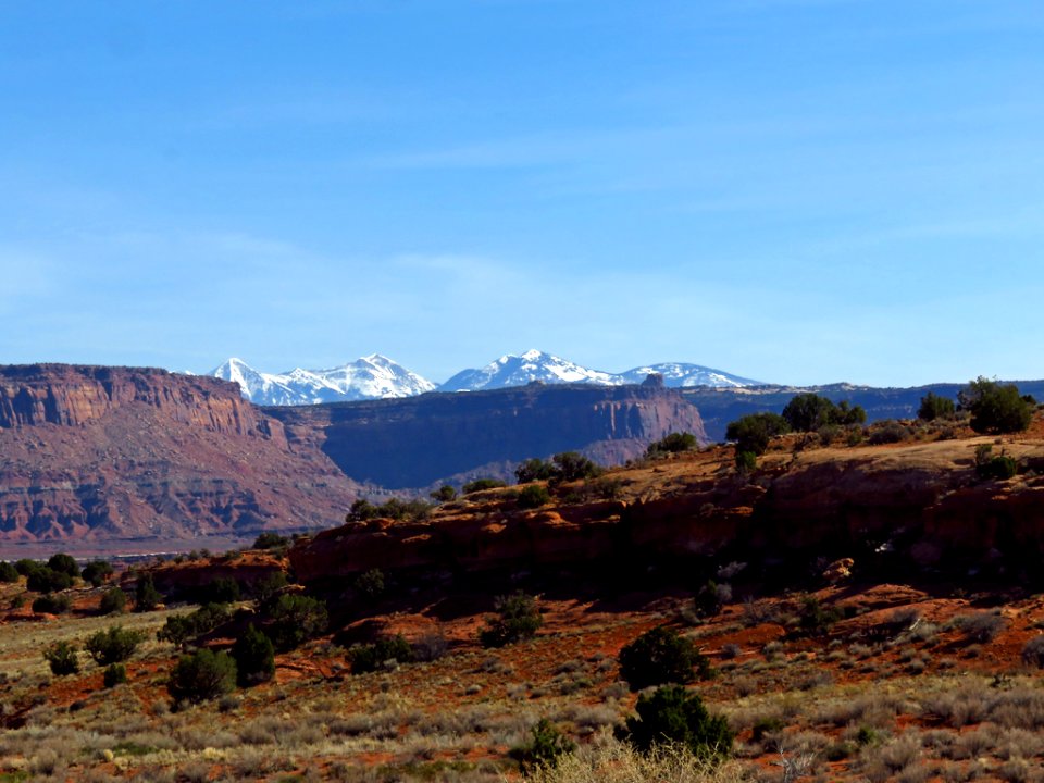 Needles District at Canyonlands NP in Utah