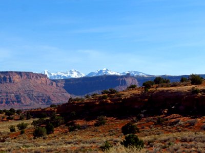 Needles District at Canyonlands NP in Utah