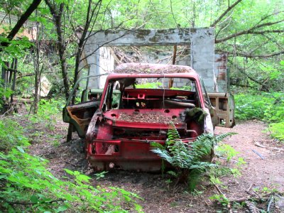 Abandoned Lada Chernobyl exclusion zone Ukraine