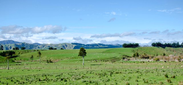 Central North Island vista from Northern Explorer