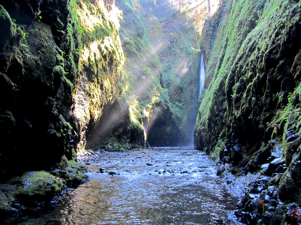 Oneonta Gorge at Columbia River Gorge in OR
