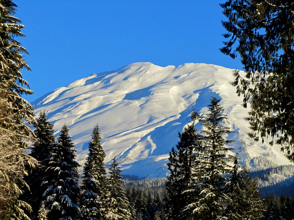 Mt. St. Helens NM in WA