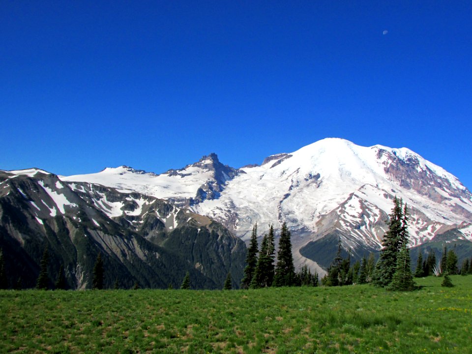Mt. Rainier NP in WA
