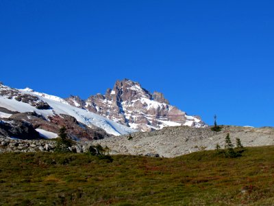 Autumn at Skyline Trail at Mt. Rainier NP in WA