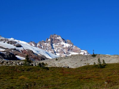 Autumn at Skyline Trail at Mt. Rainier NP in WA photo