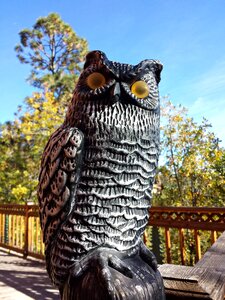 Bird statue defensive