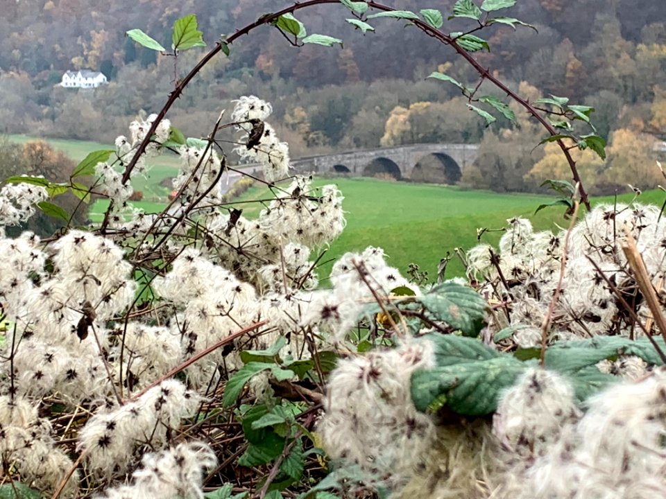 Kerne Bridge on the river Wye  . . .
