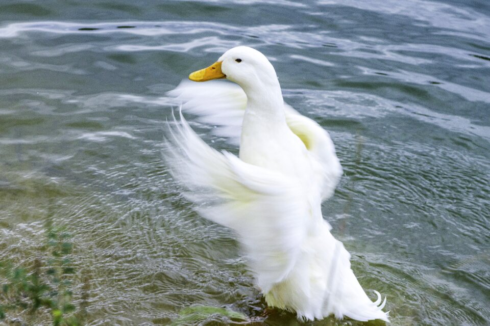 Nature water park
