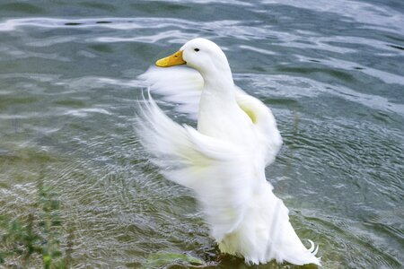 Nature water park