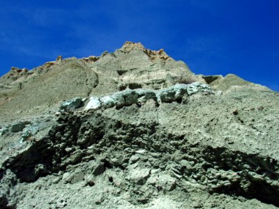 Island in Time Trail at John Day Fossil Beds in OR