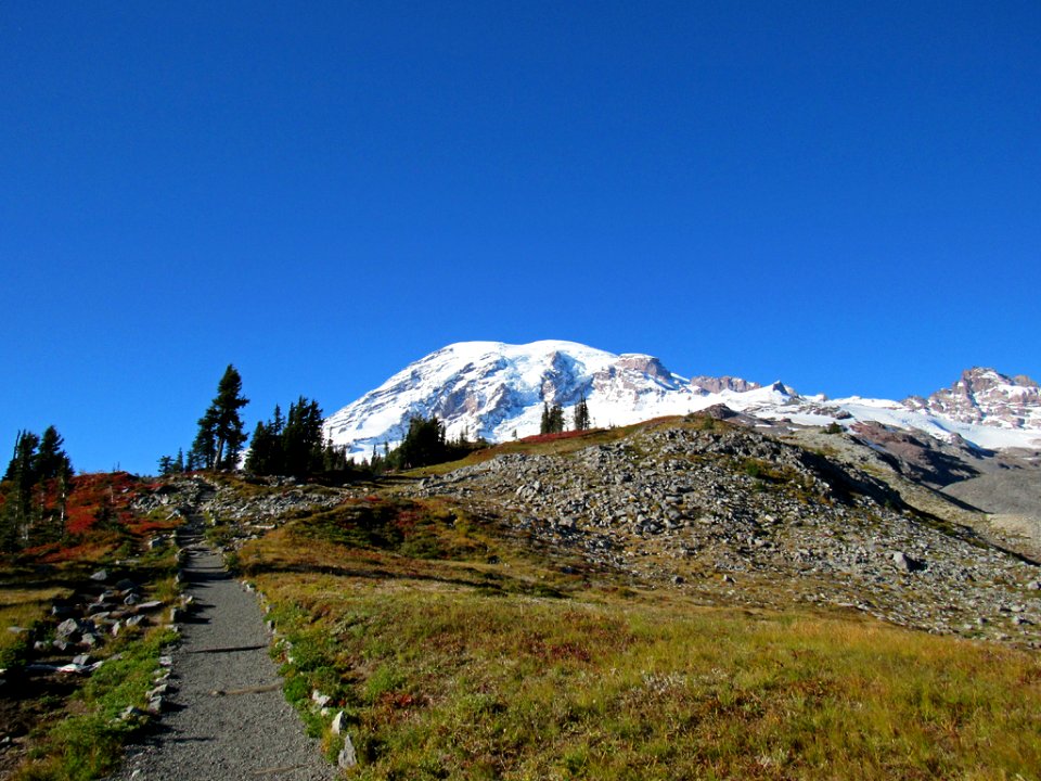 Autumn at Skyline Trail at Mt. Rainier NP in WA