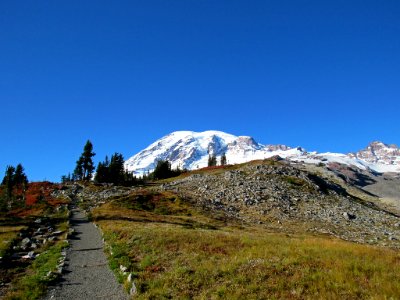 Autumn at Skyline Trail at Mt. Rainier NP in WA
