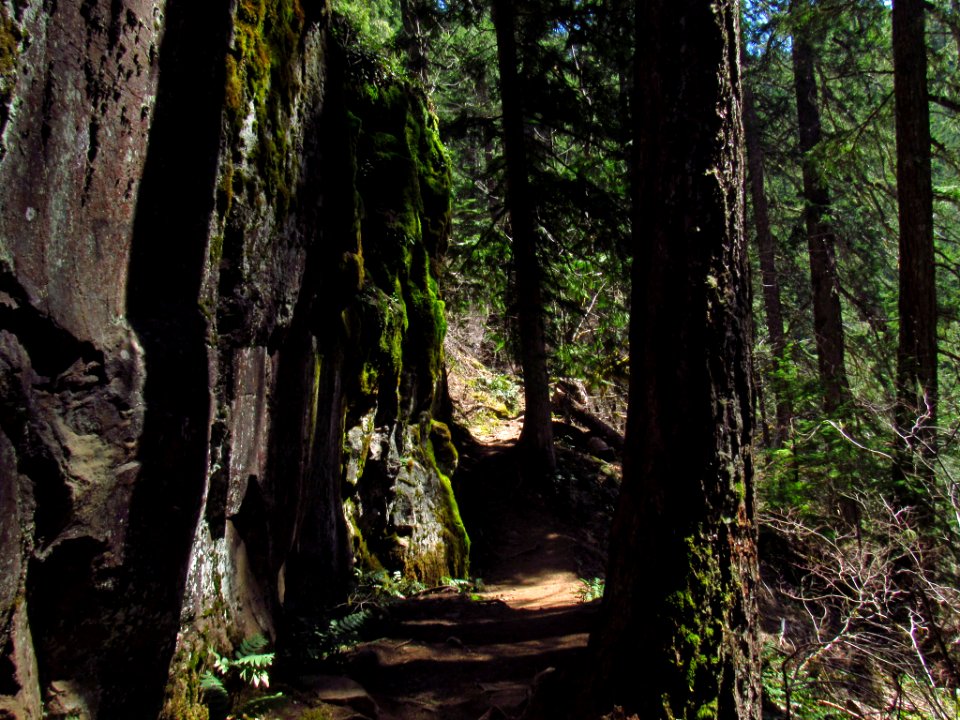 Falls Creek Falls Trail in WA