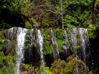 Panther Creek Falls Trail in WA photo