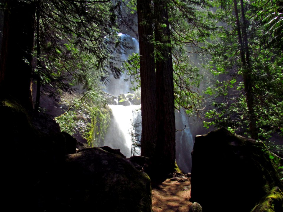 Falls Creek Falls Trail in WA