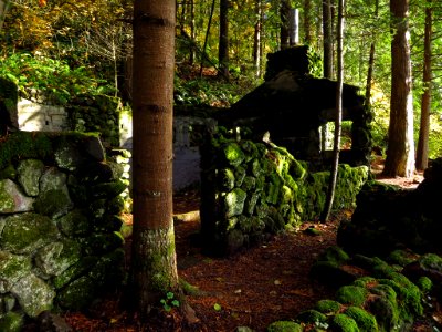 Abandoned Skamania Stone House in WA photo