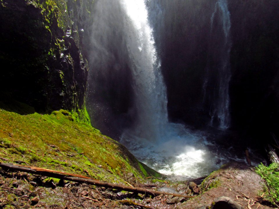Falls Creek Falls Trail in WA