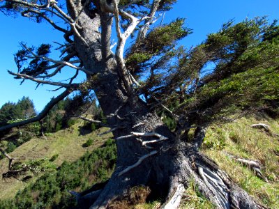 God's Thumb Hike in OR