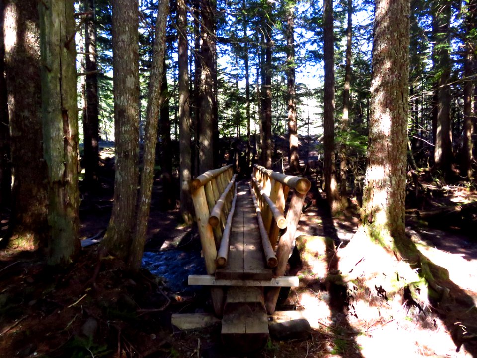 Ramona Falls Hike at Mt. Hood Wilderness in Oregon