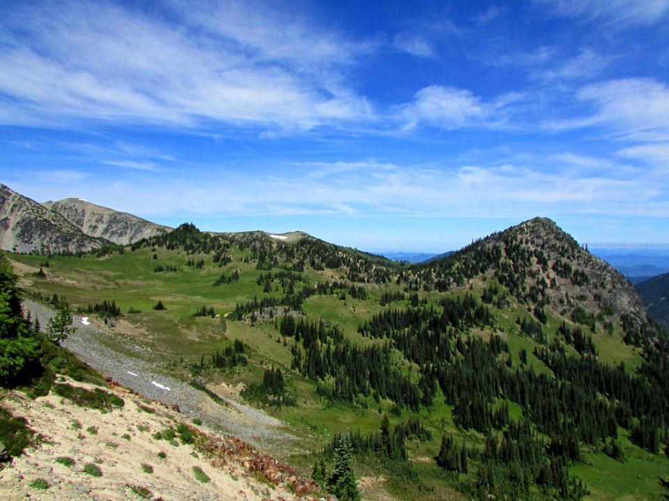 Mt. Rainier NP in WA