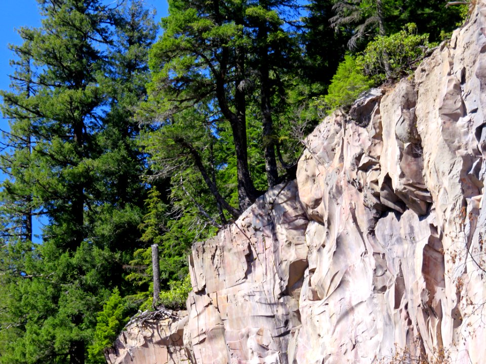 Ramona Falls Hike at Mt. Hood Wilderness in Oregon