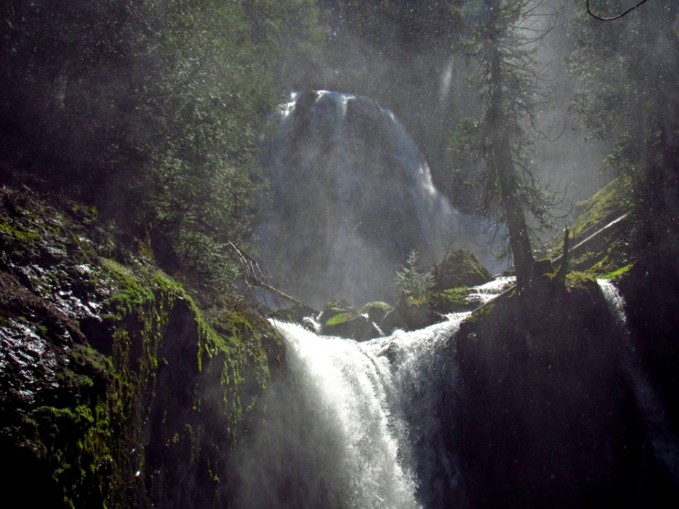 Falls Creek Falls Trail in WA
