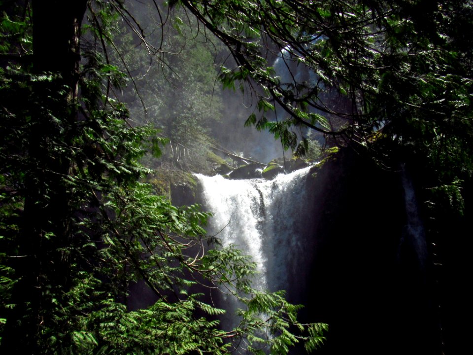 Falls Creek Falls Trail in WA