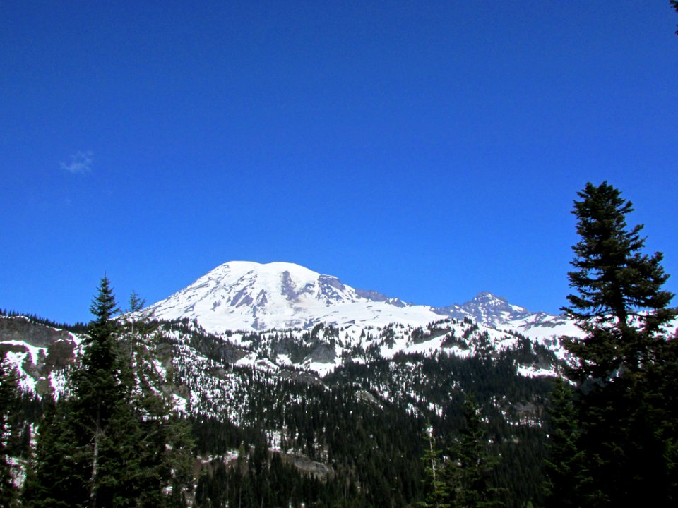 Mt. Rainier NP in WA