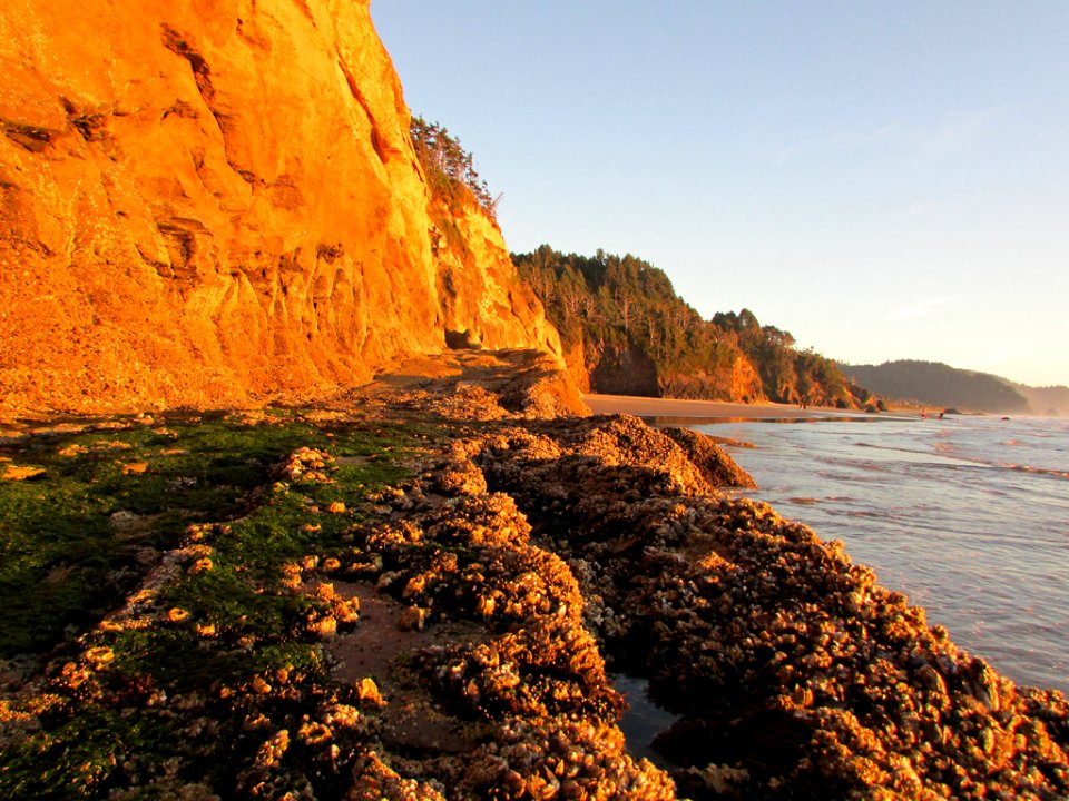 Hug Point at Pacific Coast in OR