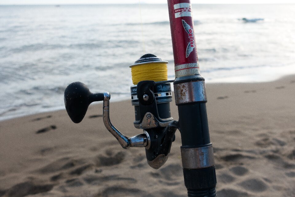 Yellow fishing water