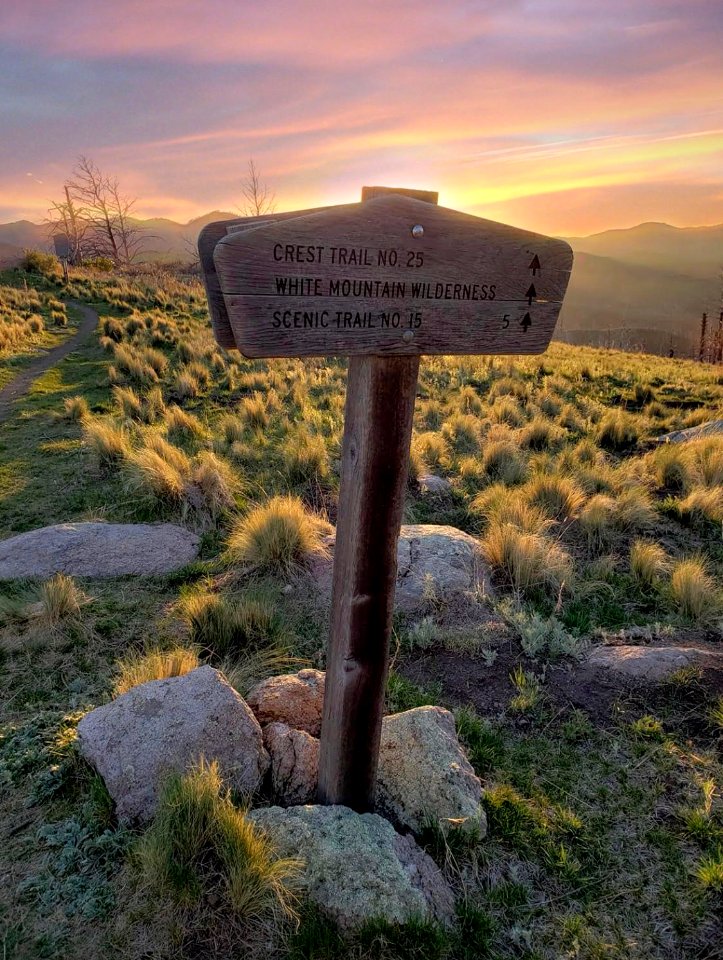 D1 Smokey Bear Trail Sign May 2020