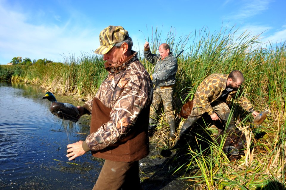 Packing Up Decoys